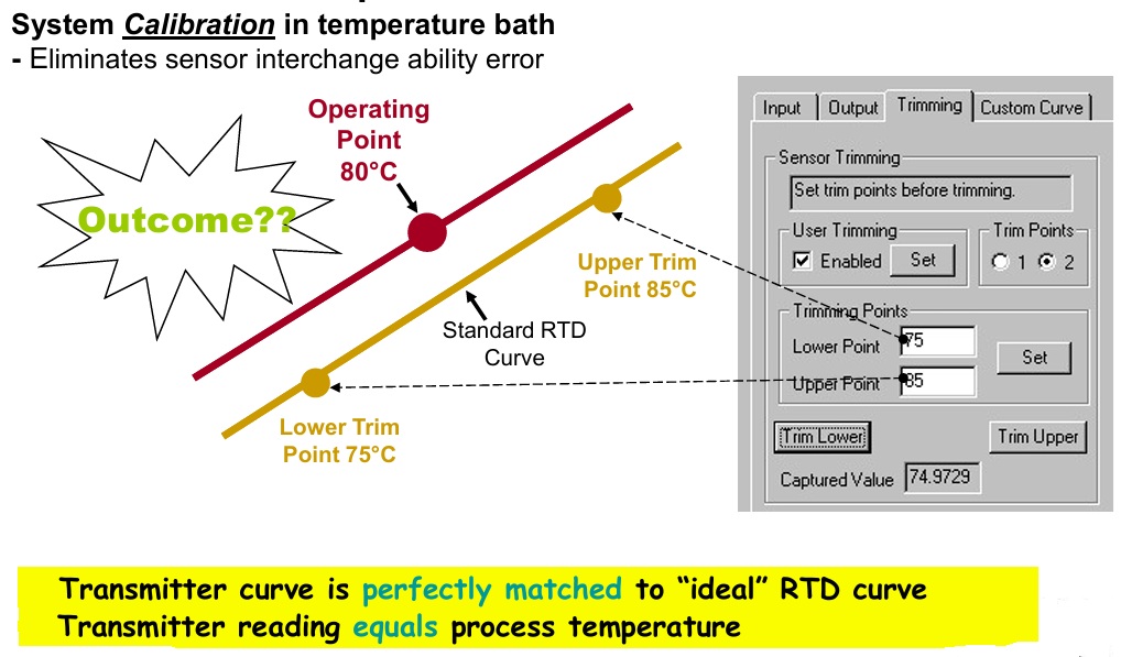 RTD input trimming